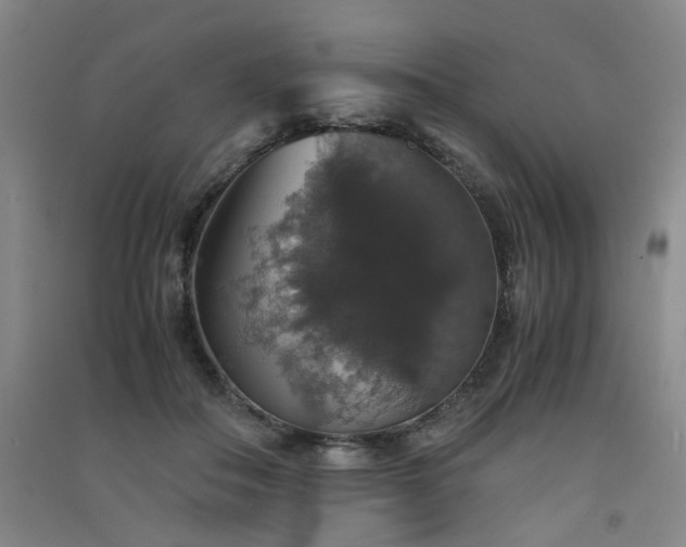 X0000091550506200708171308