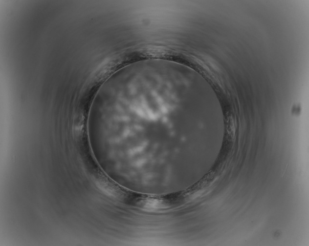 X0000091550507200708171308