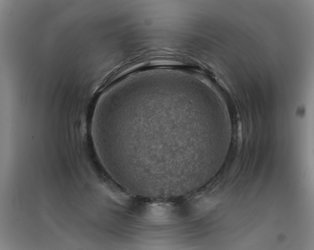 X0000091550508200708171308