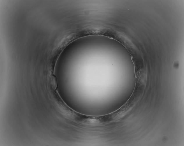 X0000091550509200708171308