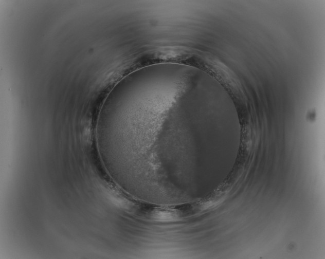 X0000091550510200708171308