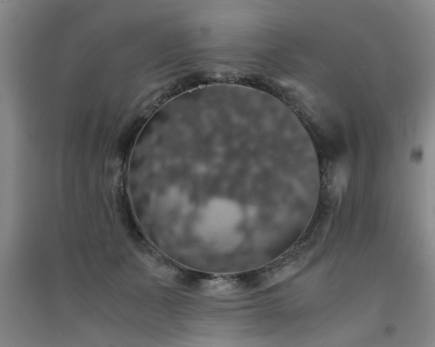 X0000091550511200708171308