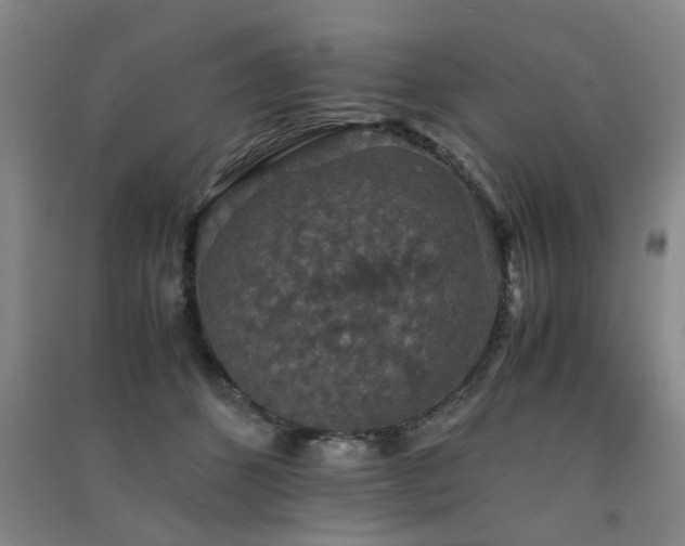 X0000091550512200708171308