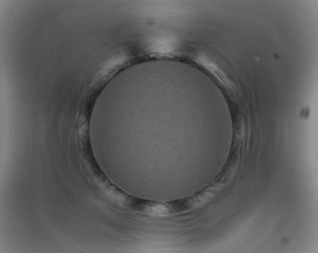 X0000091550513200708171308
