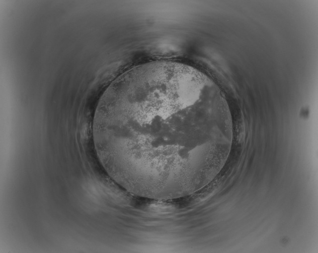X0000091550515200708171308