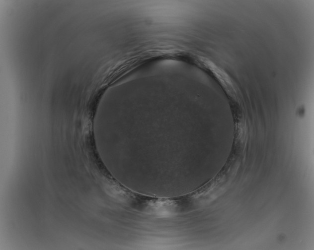 X0000091550517200708171308