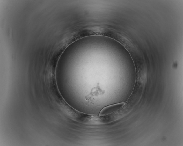 X0000091550518200708171308