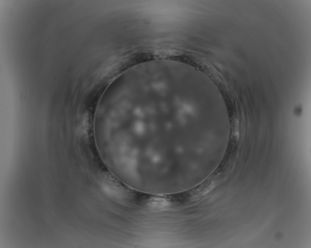 X0000091550519200708171308