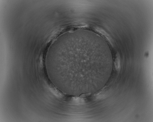 X0000091550520200708171308