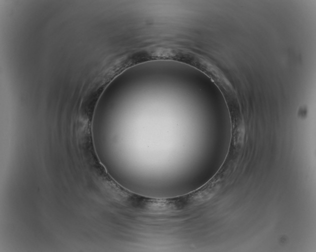 X0000091550521200708171308