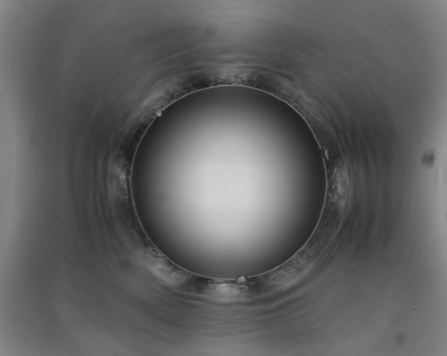 X0000091550522200708171308