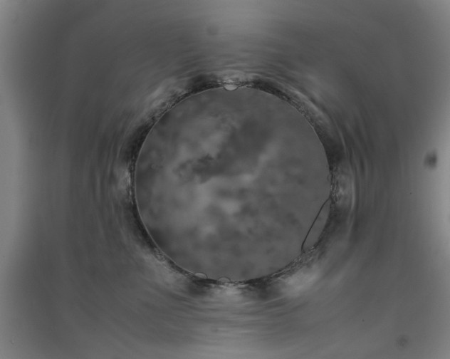X0000091550523200708171308