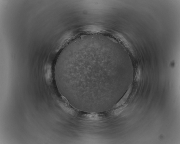X0000091550524200708171308