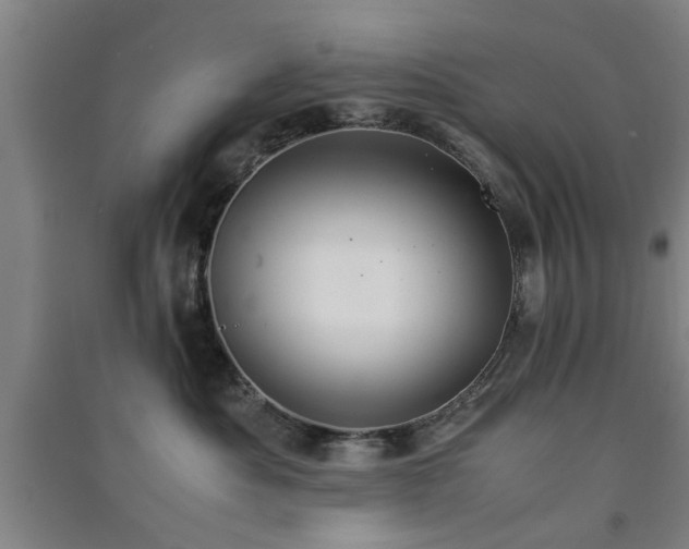 X0000091550525200708171308