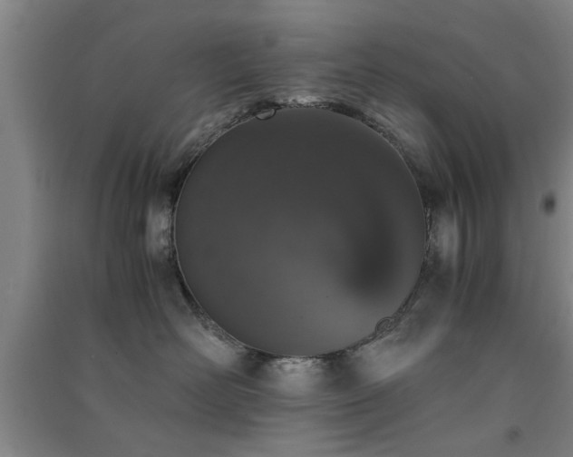 X0000091550526200708171308
