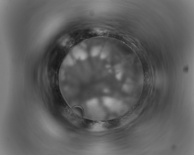 X0000091550527200708171308