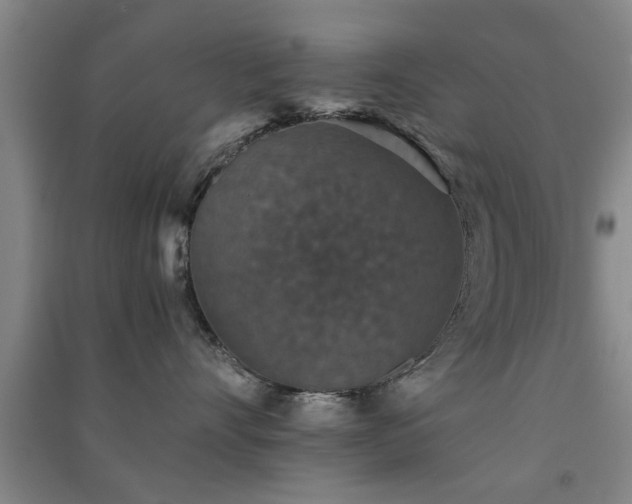 X0000091550528200708171308