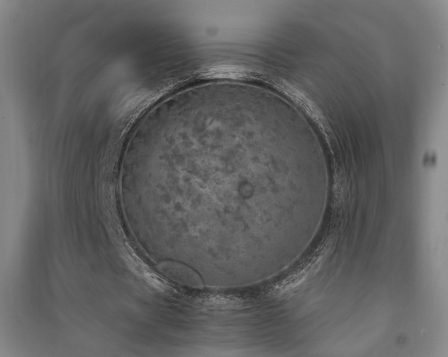 X0000091550529200708171307
