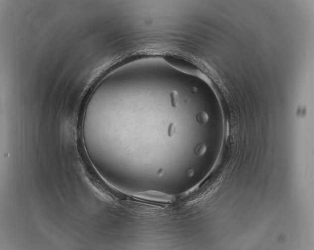 X0000091550530200708171307