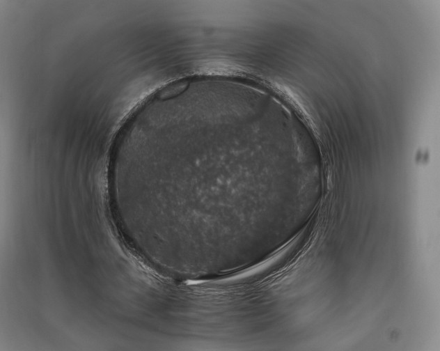 X0000091550531200708171307