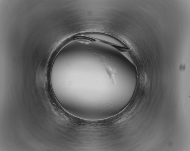 X0000091550532200708171307