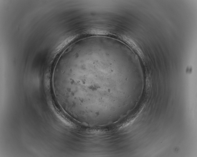 X0000091550533200708171307