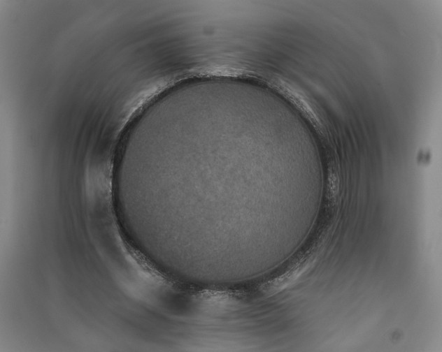 X0000091550534200708171307