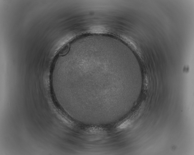 X0000091550535200708171307
