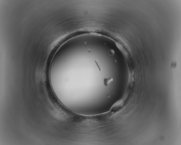 X0000091550536200708171307
