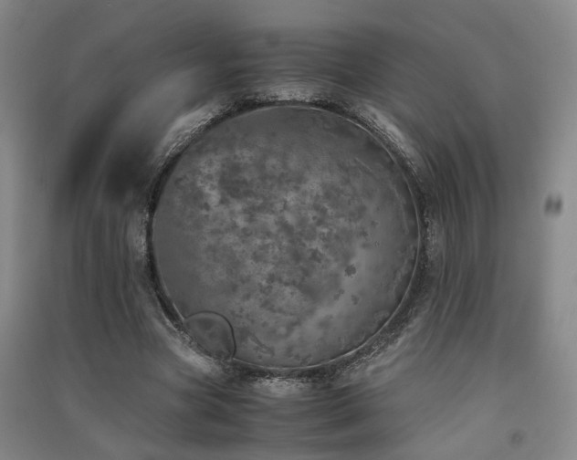 X0000091550537200708171307