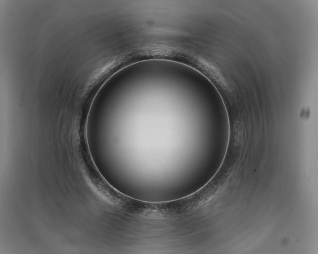 X0000091550538200708171307