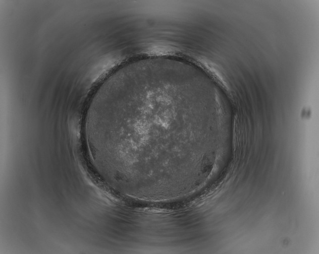 X0000091550539200708171307