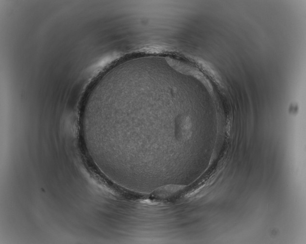 X0000091550540200708171307