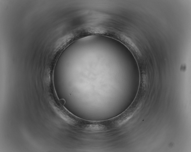 X0000091550541200708171307