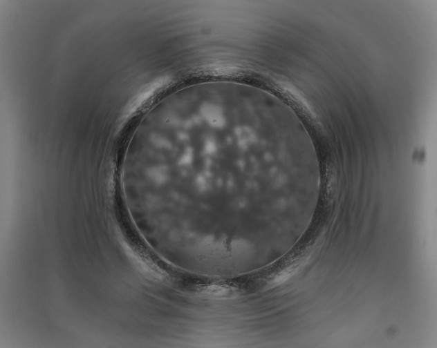 X0000091550542200708171307