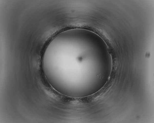 X0000091550544200708171307