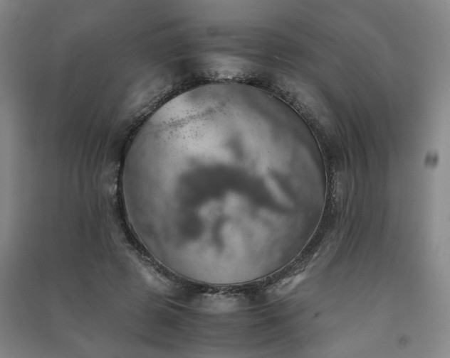 X0000091550545200708171307
