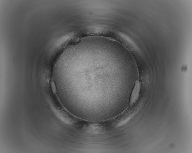 X0000091550546200708171307