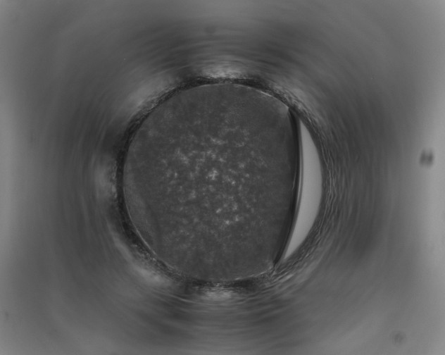 X0000091550547200708171307