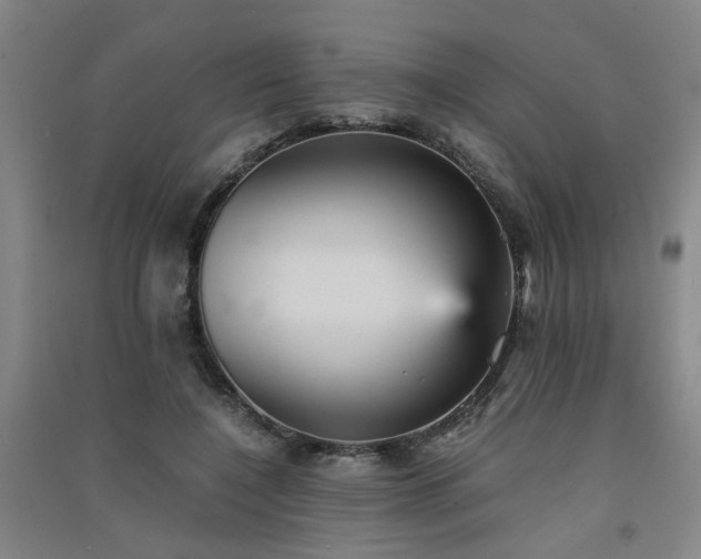 X0000091550548200708171307