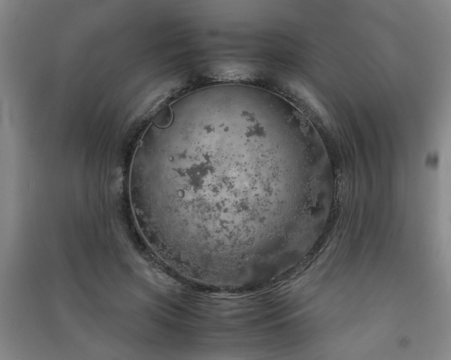 X0000091550549200708171307