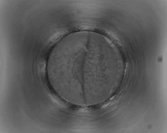 X0000091550550200708171307