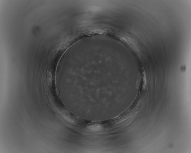 X0000091550551200708171307