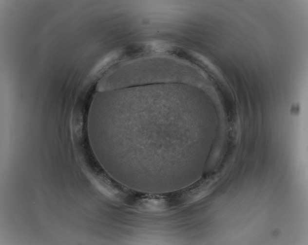 X0000091550552200708171307