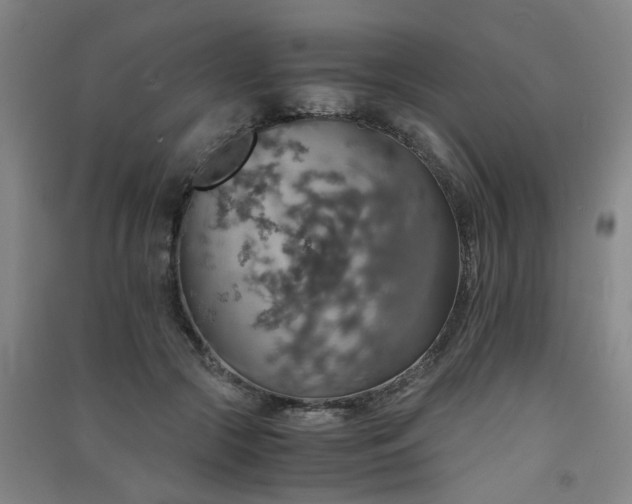 X0000091550553200708171307