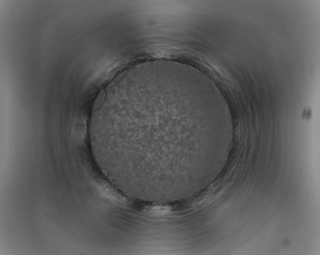 X0000091550554200708171307