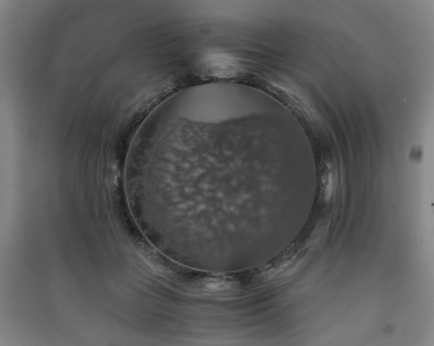 X0000091550555200708171307