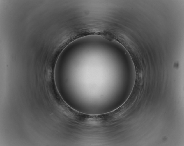 X0000091550556200708171307