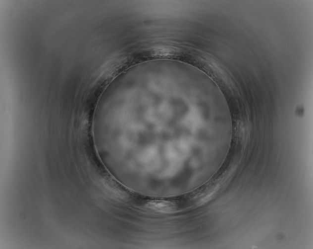 X0000091550557200708171307