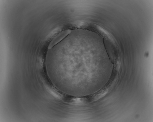 X0000091550558200708171307